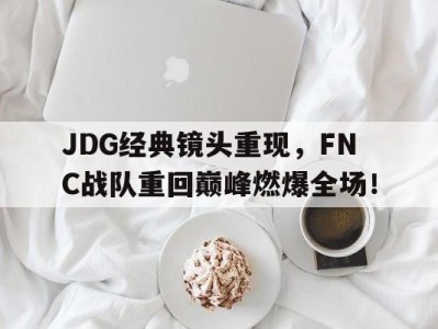 JDG经典镜头重现，FNC战队重回巅峰燃爆全场！-平博